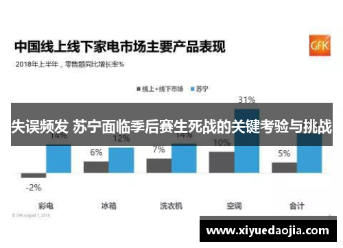 失误频发 苏宁面临季后赛生死战的关键考验与挑战