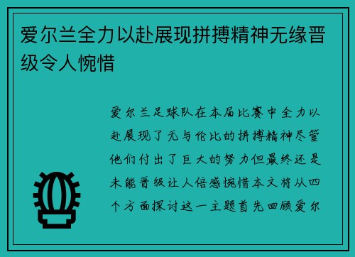 爱尔兰全力以赴展现拼搏精神无缘晋级令人惋惜