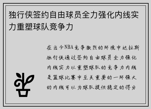 独行侠签约自由球员全力强化内线实力重塑球队竞争力