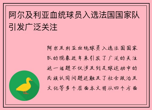 阿尔及利亚血统球员入选法国国家队引发广泛关注