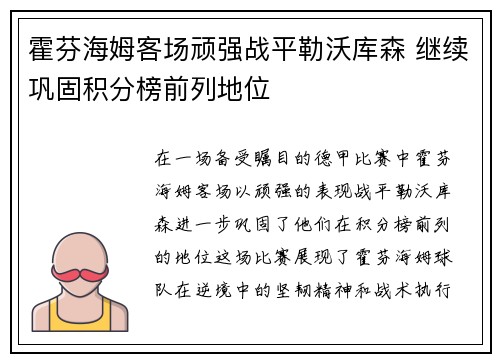 霍芬海姆客场顽强战平勒沃库森 继续巩固积分榜前列地位